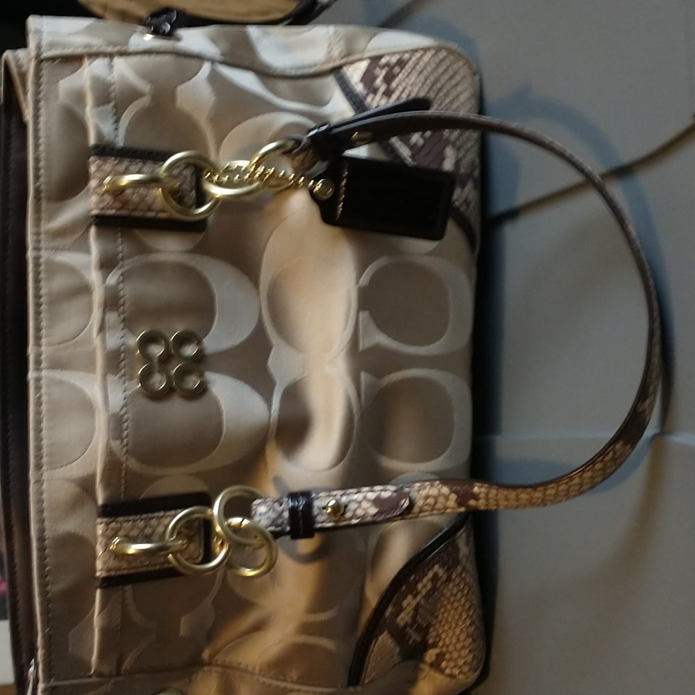 Gorgeous snakeskin Coach bag